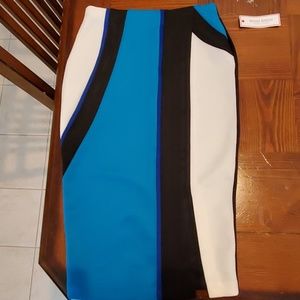 Pencil skirt and matching top